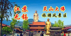 抽插注射屁眼玩逼真人视频江苏无锡灵山大佛旅游风景区