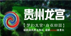 插穴操穴视频