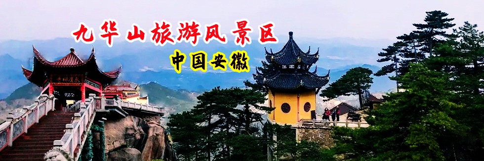 插鸡巴操逼的黄色视频
